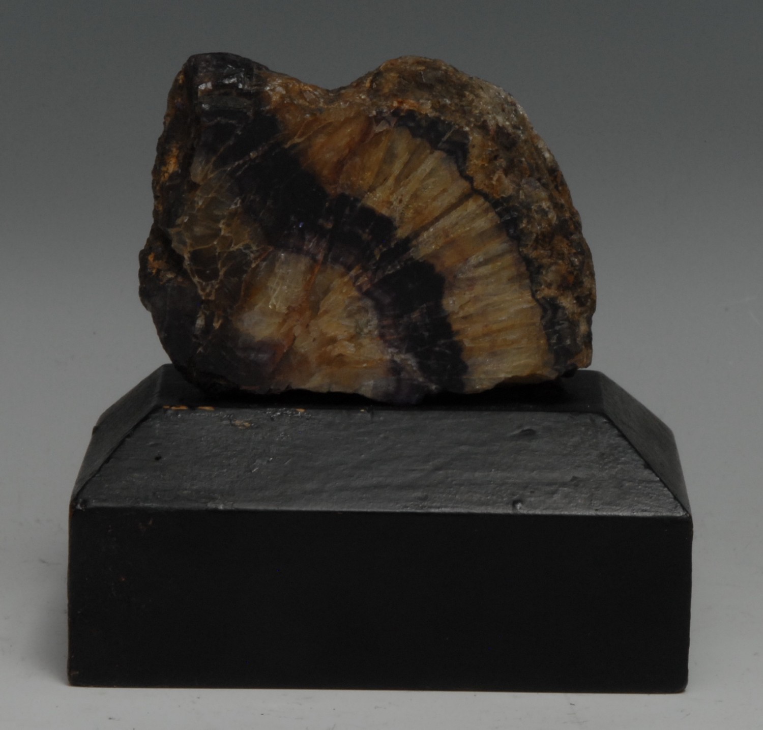 A Derbyshire Blue John specimen, polished to one face and mounted for display, ebonised wooden