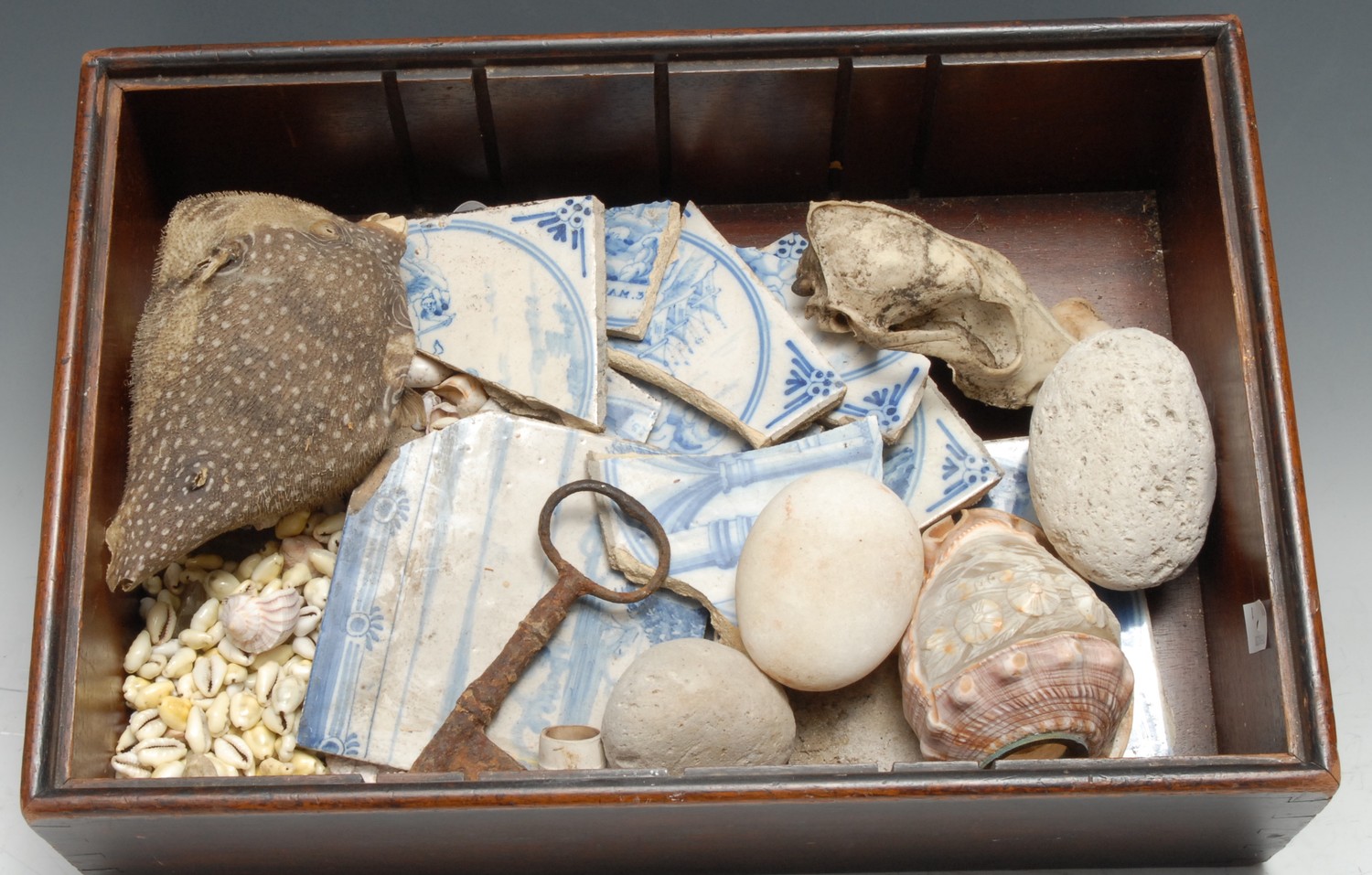 The Wunderkammer - a 19th century mahogany box, the cover with brass swan neck handle enclosing a - Image 2 of 2