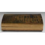 A 19th century named-view tooled and printed card domed rectangular box, the cover with a view of