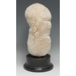 Natural History - a large coral specimen, mounted for display, 31cm high
