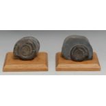 Natural History - Geology, Palaeontology - an ammonite specimen, the matrix 9cm wide, mounted for