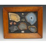 Geology and Paleontology - an interesting diorama, comprising an arrangement of agate sections, an