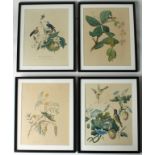 A set of Four 18th century hand coloured etchings, natural history studies (4)