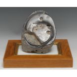 Natural History - Geology, Palaeontology - an ammonite specimen, cut and polished, 15.5cm wide,