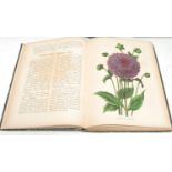 Botany - Neubert (Wilhelm), seven volumes of the Deutsches Magazin: 1853, 1871, 1874, 1875, 1876,