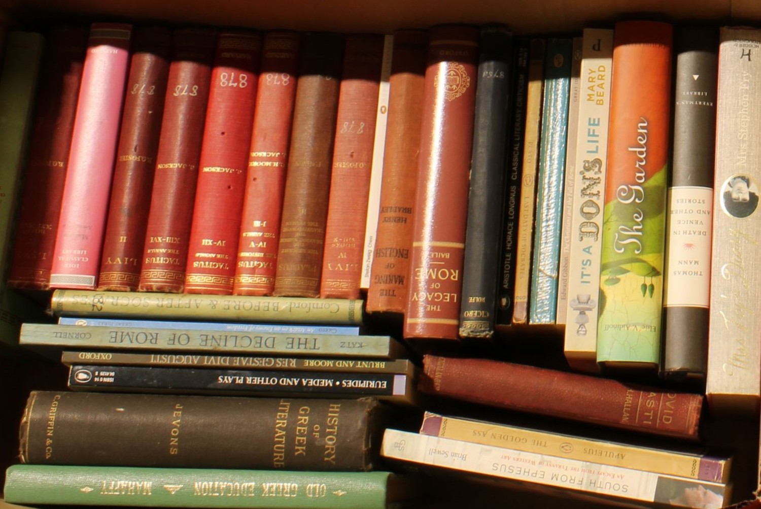 Books - a Victorian Family Bible; other leather bindings; mid-20th century and later pulp and - Bild 2 aus 5