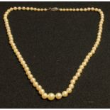 A single strand of graduated cultured pearls, 14k white gold clasp with central seed pearl, 50cm ,