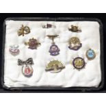 A collection of eleven enamel military badges