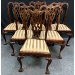 A set of six mahogany Chippendale style dining chairs, shaped top rail, pierced vascular splats,