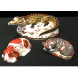 Royal Crown Derby paperweights - Catnip Kitten, Collector?s Guild; Puppy, Collector?s Guild, gold