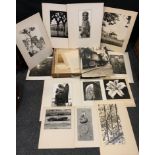 A collection of mid 20th century photographic images by M Rouse, D Perks and R Charlesworth, inc