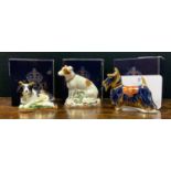 A Royal Crown Derby Paperweight Border Collie, gold stopper, signed, 189/2500; others Parson Jack