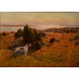 Anders Wahlgren (1861 - 1928) Pointer by the Coast signed, oil on canvas, 45cm x 63cm