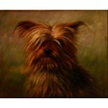 Henry Crowther (fl.1905-1939) Dirk, the Yorkshire Terrier signed, dated 1914, oil on canvas, 22cm