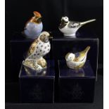 A Royal Crown Derby paperweight, Waxwing, gold stopper, boxed; others, song Thrush, Pied Wagtail,