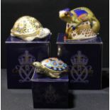 A Royal Crown Derby paperweight, Chameleon, gold stopper, signed, boxed; others, Indian Star