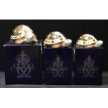 A Royal Crown Derby paperweight group, The Yorkshire Rose Tortoise Family, a Peter Jones of