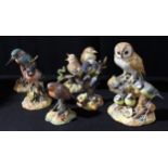 Royal Crown Derby Bird Models - Barn Owl, Thrush Chicks, Blue Tit and Chicks, Robin, Bull Finch,