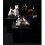 A Royal Crown Derby paperweight, Border Collie, gold backstamp limited edition, 113/2,500, signed in