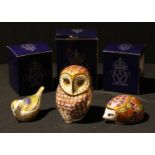 A Royal Crown Derby paperweight, Barn Owl, gold stopper, boxed; others, Orchard Hedgehog, gold