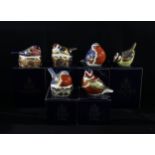 A Royal Crown Derby paperweight, Robin Nesting, silver stopper, boxed; others, Chaffinch,