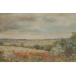 Olive Greenhill (mid 20th century) Poppy Fields signed, watercolour, dated 1864, 22.5cm x 34cm