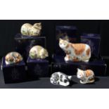 A Royal Crown Derby paperweight, Sugar, Collector's Guild Cat, gold stopper, boxed; another,