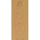 Contemporary School Female Nude pen and ink, 29cm x 12cm