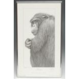Gary Hodges Wildlife Artist (1954- ), by and after, Chipanezee, monochrome print, signed in