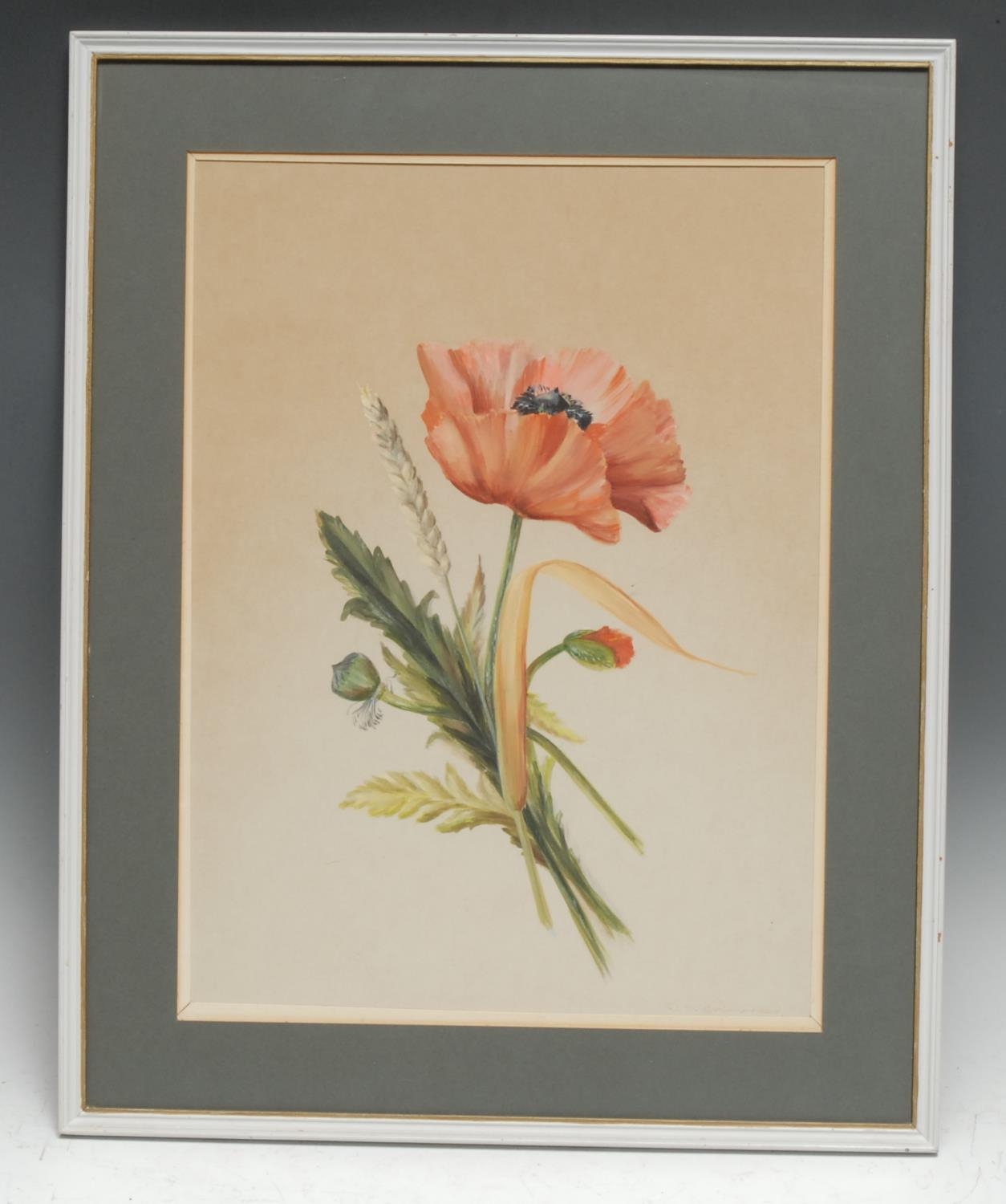 D M Grimwood Still Life, Poppy signed, watercolour, 38.5cm x 28cm - Image 2 of 4