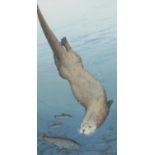 Rex Nicholls (1942-2019) Otter Diving signed, watercolour, 50cm x 27cm