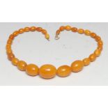 An amber necklace, of graduated beads, 9ct gold clasp, 42cm long, 34g gross