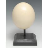 Natural History - an ostrich egg (struthio camelus), mounted for display, 23cm high overall