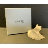 A Lalique glass model curled cat, signed, boxed.