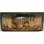 Country Pursuits - a faux taxidermy diorama, of a fish naturalistically mounted amongst reeds