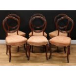 A set of six Victorian mahogany balloon back dining chairs, each with a shaped moulded back carved