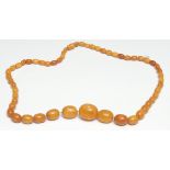 An amber necklace, strung with fifty five graduated beads, the largest 2.5cm long, 30cm drop, 34g