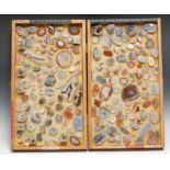 Geology - an arrangement of Scottish Victorian Agate pebbles, buttons and specimens, 31cm x 56cm,