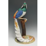 A rare and large Royal Crown Derby model, of a Lady Amherst?s Pheasant, perched on a stand,