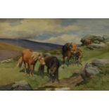 Mabel Amber Kingwell (1890 -1924) Dartmoor Ponies signed, watercolour, 23cm x 34cm