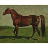 English School (20th century) Study of a Thoroughbred Racehorse oil on canvas, 45cm x 55cm