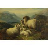 Charles Edward Watson (active late 19th/early 20th century) Highland Sheep signed, dated 189*, oil