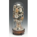 A 19th century conchological table centre arrangement, the exotic shell specimens arranged as a