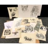 Peter Sturgess (1932-2015) Artist Folio, early and incomplete works, Lion Walking, Rhinoceros