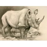 Peter Sturgess (1932-2015) Rhinoceros Standing, signed, pencil sketch, 34.5cm x 44.5cm