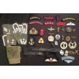 WW2 and later British Cap badges and cloth insignia to include: Kings Crown Parachute Regiment cap