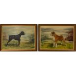R**Redmile (20th century) A Pair, Boxer Dogs signed, dated 1980, oil on board, 34cm x 49cm