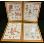 A Medical print, Foot and Ankle; others Anatomy of the Shoulder, Hands etc, 69cm x 49cm (4)