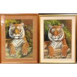 Peter Sturgess (1932-2015) a pair, Tigers Stare, signed, dated 1-12-05, oil, 47cm x 33cm (2)
