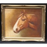 English School Head of a Horse signed, oil on canvas, 39cm x 49cm